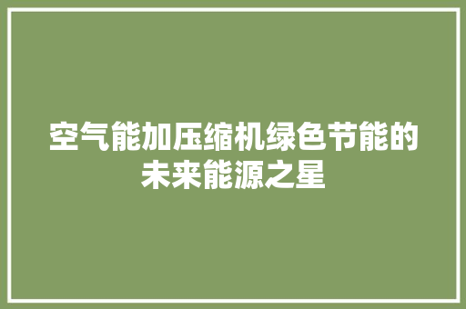 空气能加压缩机绿色节能的未来能源之星 汽车维修