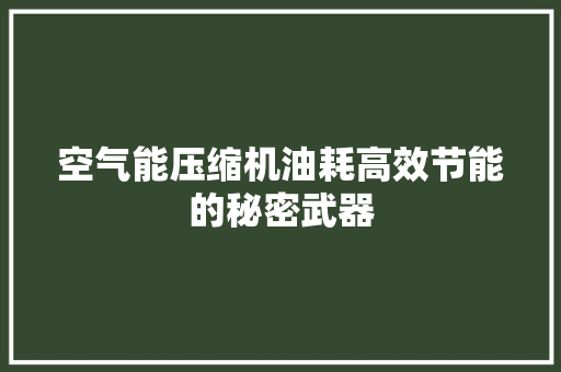 空气能压缩机油耗高效节能的秘密武器 汽车维修