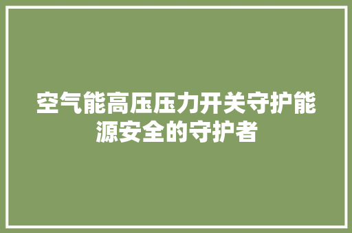 空气能高压压力开关守护能源安全的守护者