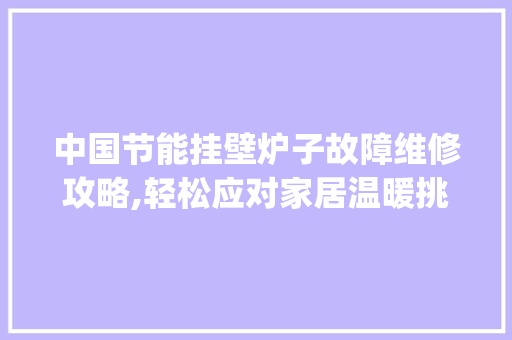 中国节能挂壁炉子故障维修攻略,轻松应对家居温暖挑战_中国节能挂壁炉子故障维修 中国节能挂壁炉子故障维修攻略,轻松应对家居温暖挑战_中国节能挂壁炉子故障维修 综合便民