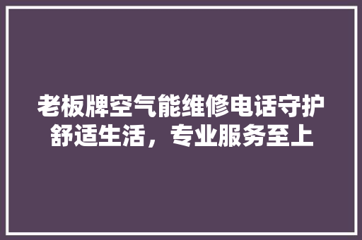 老板牌空气能维修电话守护舒适生活，专业服务至上 家电维修
