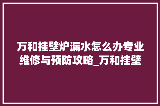 万和挂壁炉漏水怎么办专业维修与预防攻略_万和挂壁炉漏水怎么办