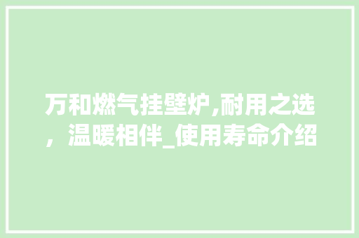 万和燃气挂壁炉,耐用之选，温暖相伴_使用寿命介绍_万和燃气挂壁炉能用几年