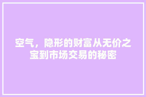 空气，隐形的财富从无价之宝到市场交易的秘密 家电维修