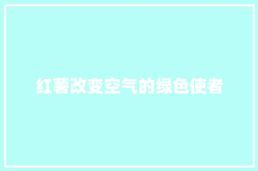 红薯改变空气的绿色使者