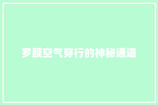 罗膜空气穿行的神秘通道