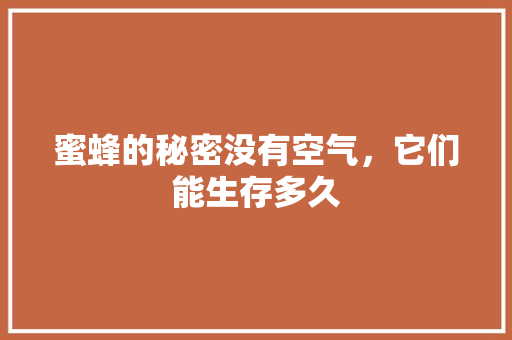 蜜蜂的秘密没有空气，它们能生存多久 家电维修