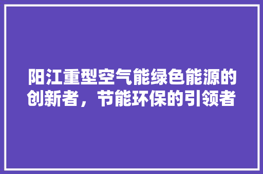 阳江重型空气能绿色能源的创新者，节能环保的引领者