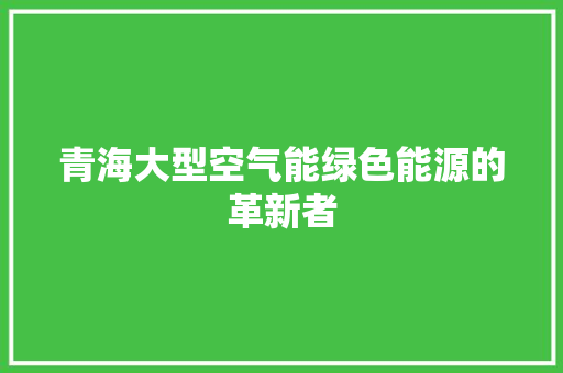 青海大型空气能绿色能源的革新者