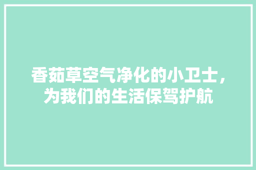 香茹草空气净化的小卫士，为我们的生活保驾护航