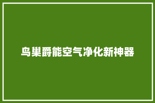 鸟巢爵能空气净化新神器