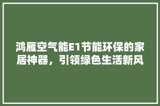 鸿雁空气能E1节能环保的家居神器，引领绿色生活新风尚