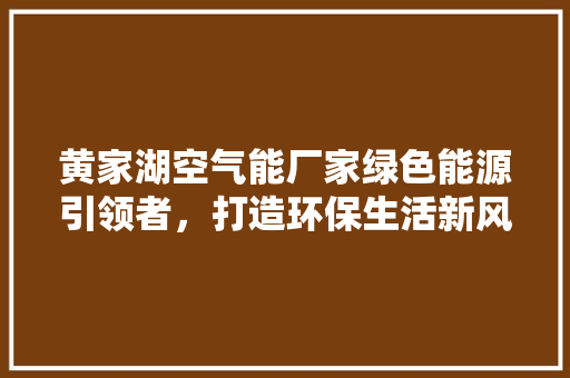 黄家湖空气能厂家绿色能源引领者，打造环保生活新风尚