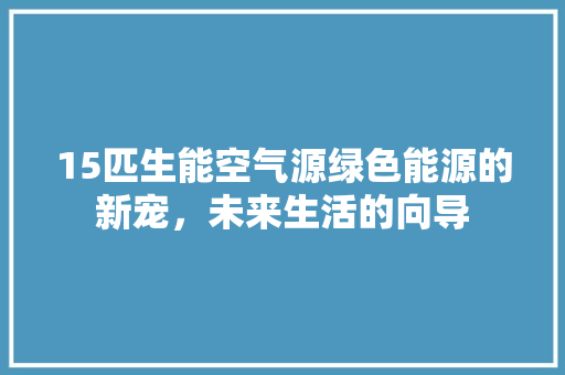 15匹生能空气源绿色能源的新宠，未来生活的向导