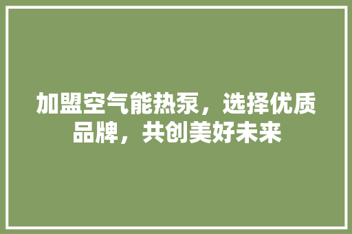 加盟空气能热泵，选择优质品牌，共创美好未来 综合便民