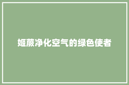 姬蕨净化空气的绿色使者 墙体维修