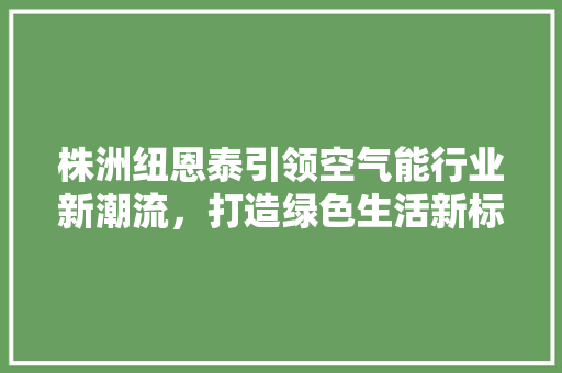 株洲纽恩泰引领空气能行业新潮流，打造绿色生活新标杆