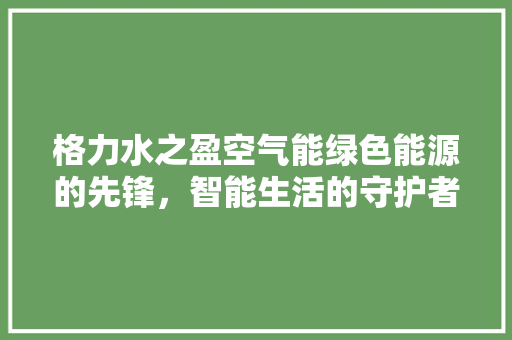 格力水之盈空气能绿色能源的先锋，智能生活的守护者
