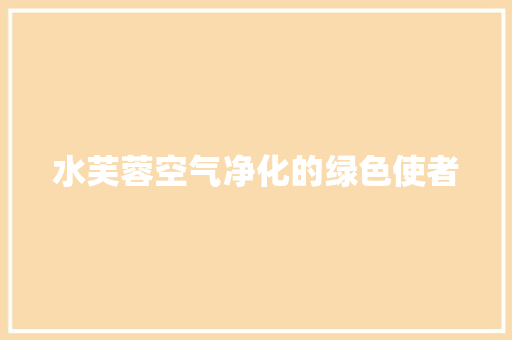 水芙蓉空气净化的绿色使者 墙体维修