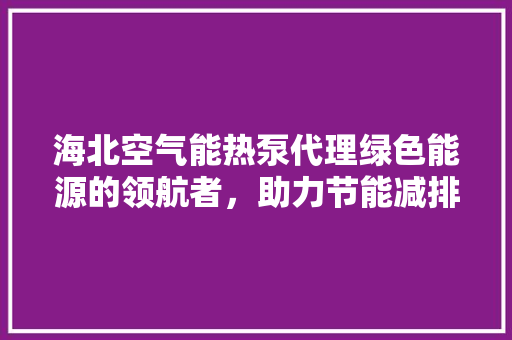 海北空气能热泵代理绿色能源的领航者，助力节能减排新篇章 厨房维修
