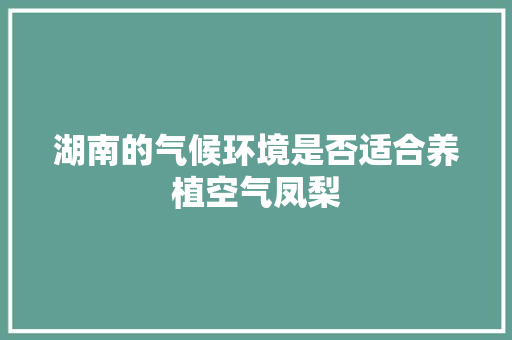 湖南的气候环境是否适合养植空气凤梨
