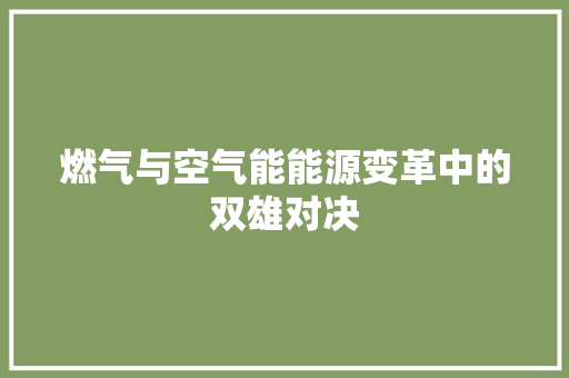 燃气与空气能能源变革中的双雄对决 家电维修
