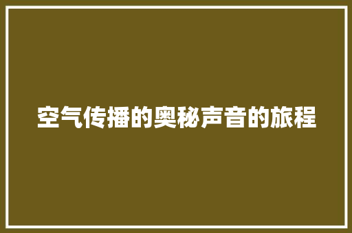 空气传播的奥秘声音的旅程