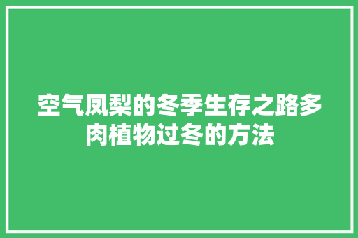 空气凤梨的冬季生存之路多肉植物过冬的方法