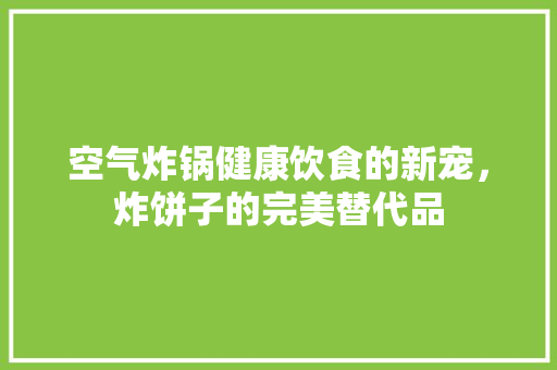 空气炸锅健康饮食的新宠，炸饼子的完美替代品 综合便民