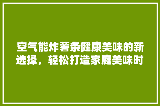 空气能炸薯条健康美味的新选择，轻松打造家庭美味时光 汽车维修