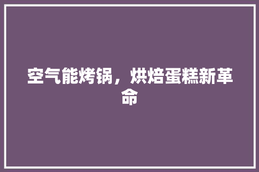 空气能烤锅，烘焙蛋糕新革命 厨房维修