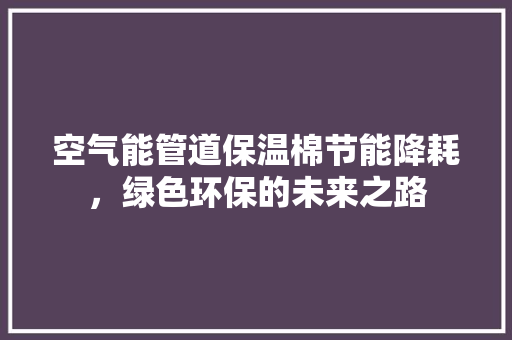 空气能管道保温棉节能降耗，绿色环保的未来之路 厨房维修