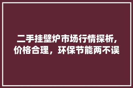 二手挂壁炉市场行情探析,价格合理，环保节能两不误_二手挂壁炉多少钱