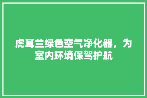 虎耳兰绿色空气净化器，为室内环境保驾护航