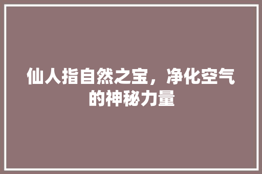 仙人指自然之宝，净化空气的神秘力量 家电维修