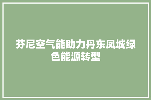 芬尼空气能助力丹东凤城绿色能源转型 墙体维修