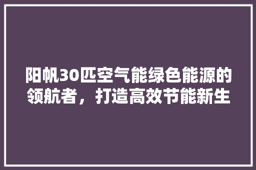 阳帆30匹空气能绿色能源的领航者，打造高效节能新生活
