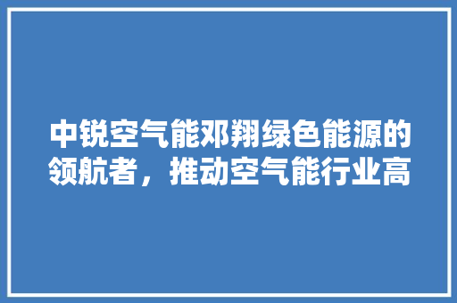 中锐空气能邓翔绿色能源的领航者，推动空气能行业高质量发展