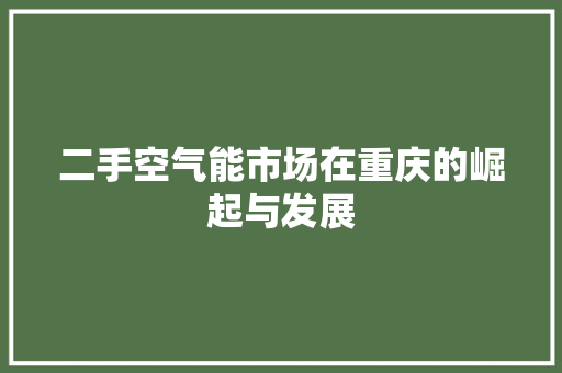 二手空气能市场在重庆的崛起与发展 家电维修