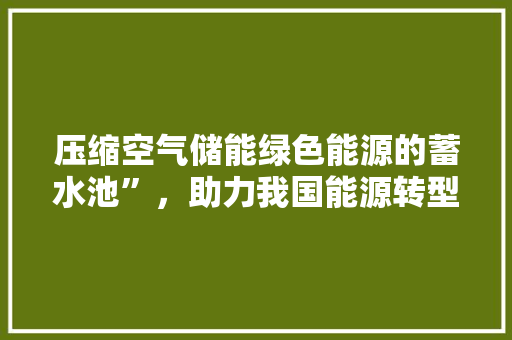 压缩空气储能绿色能源的蓄水池”，助力我国能源转型 厨房维修