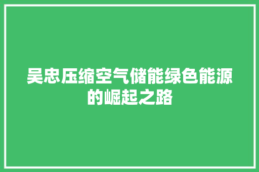 吴忠压缩空气储能绿色能源的崛起之路
