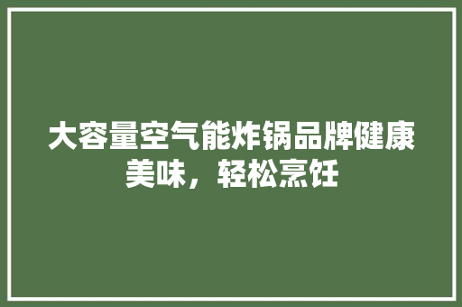 大容量空气能炸锅品牌健康美味，轻松烹饪