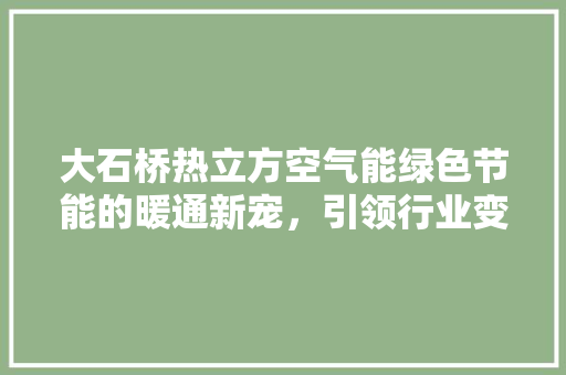 大石桥热立方空气能绿色节能的暖通新宠，引领行业变革之路 厨房维修
