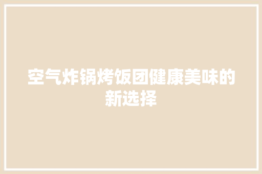 空气炸锅烤饭团健康美味的新选择