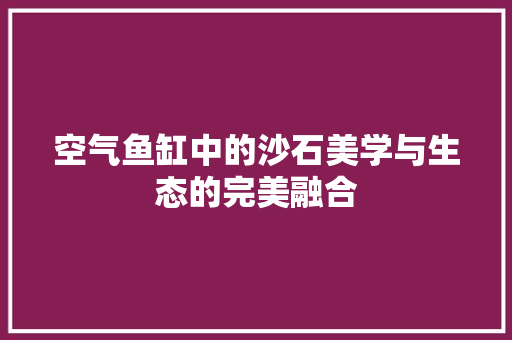 空气鱼缸中的沙石美学与生态的完美融合