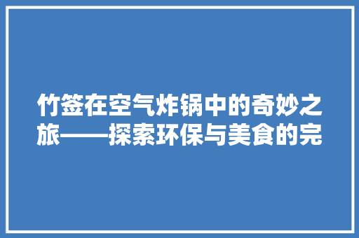 竹签在空气炸锅中的奇妙之旅——探索环保与美食的完美结合