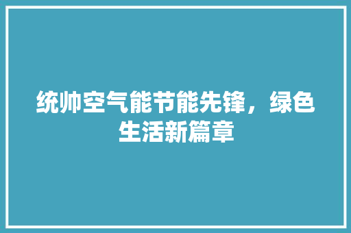 统帅空气能节能先锋，绿色生活新篇章 厨房维修