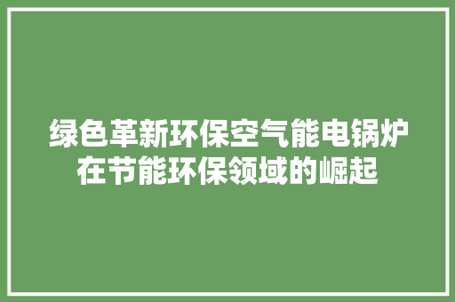 绿色革新环保空气能电锅炉在节能环保领域的崛起