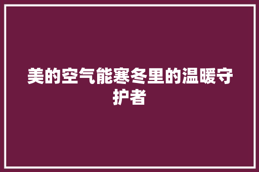 美的空气能寒冬里的温暖守护者