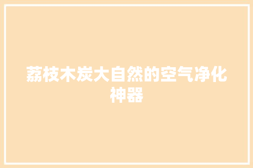 荔枝木炭大自然的空气净化神器 综合便民
